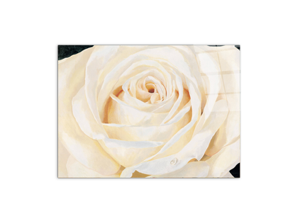 white-roseec17430-