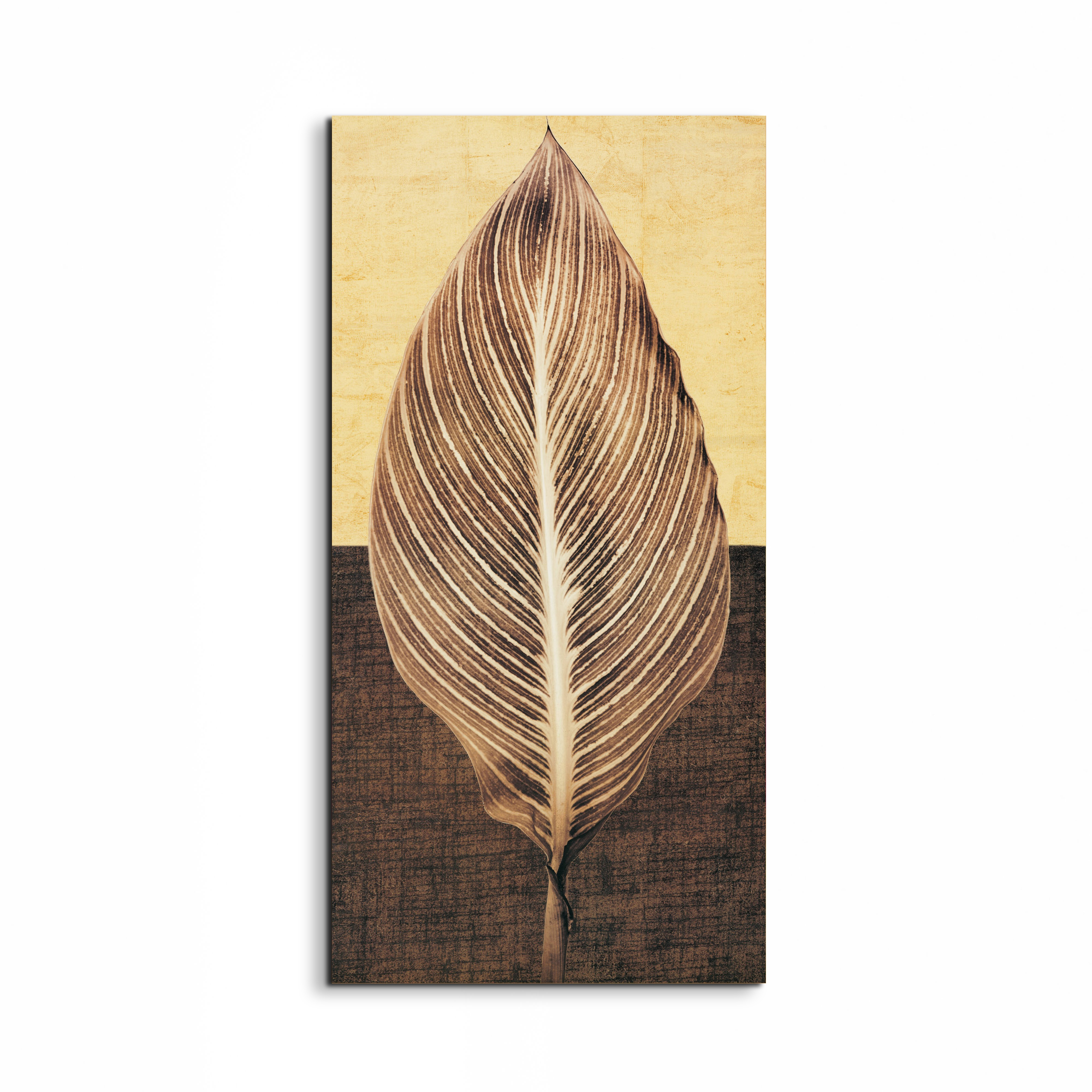palmec17651-#materiale_EarthArt/dimensioni_50x100