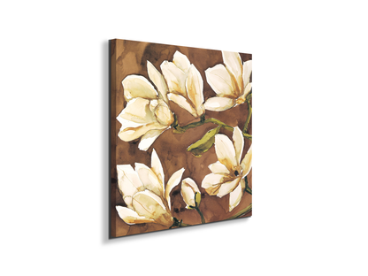 magnoliaec17808-