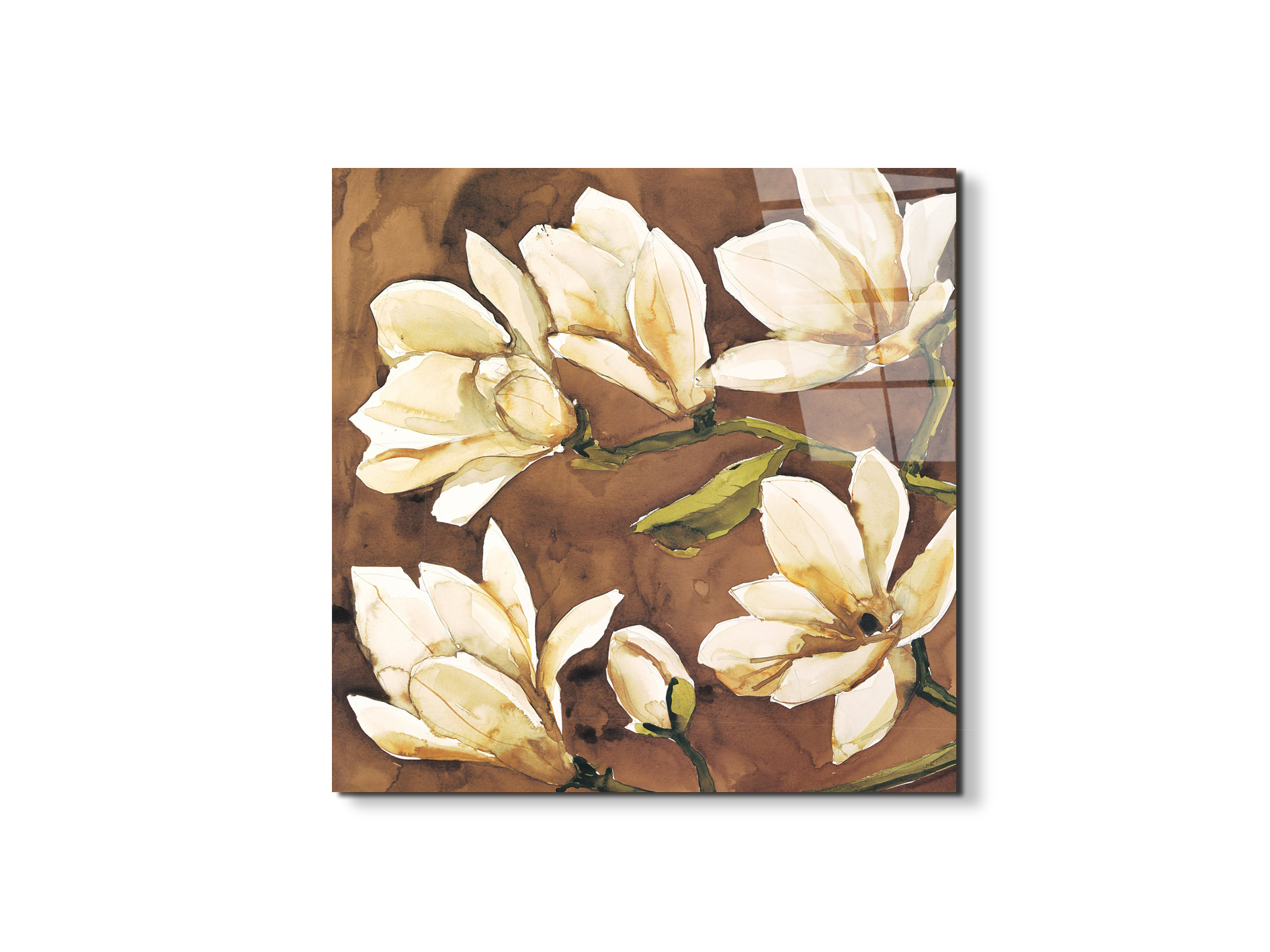 magnoliaec17808-