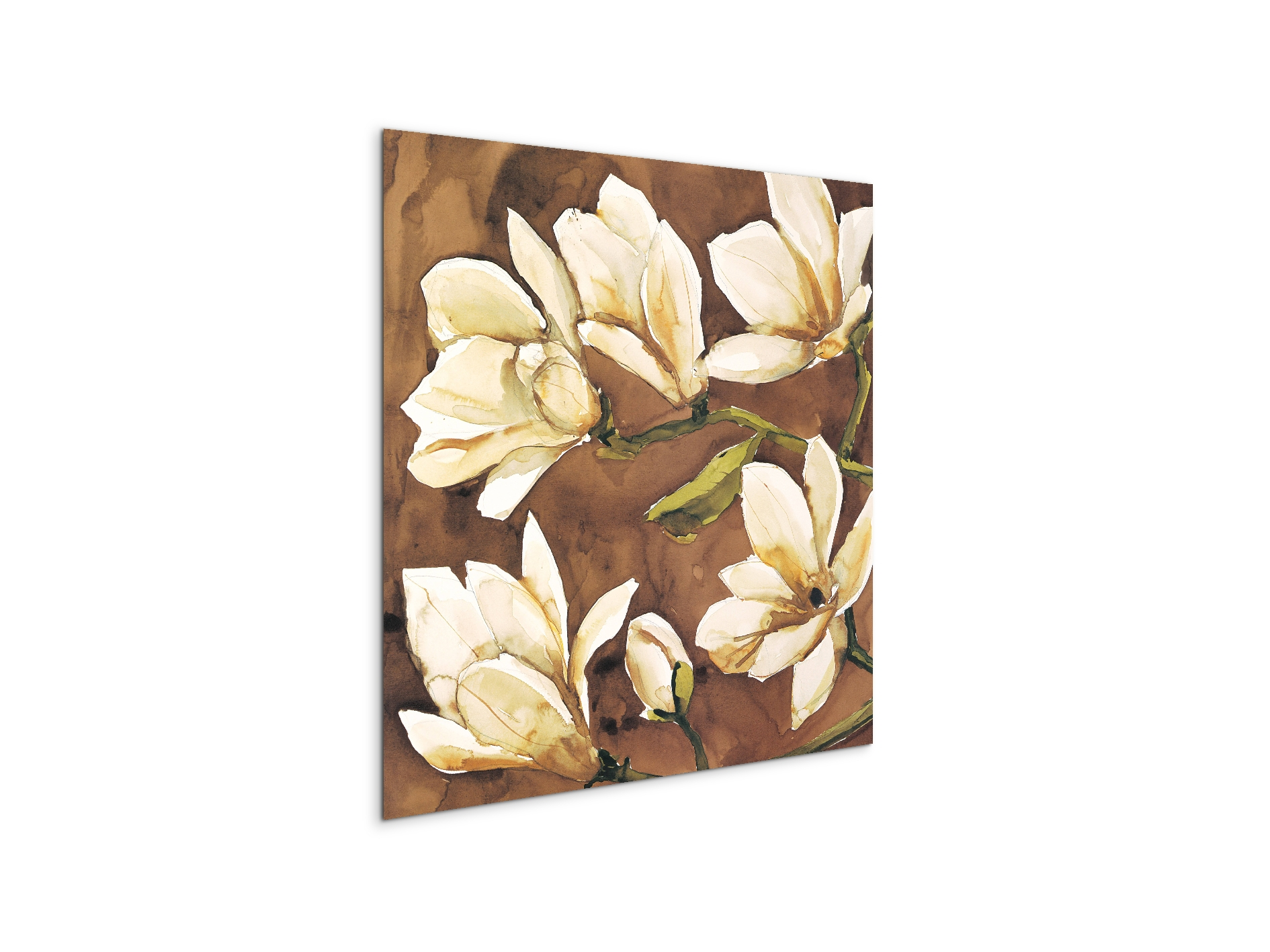 magnoliaec17808-