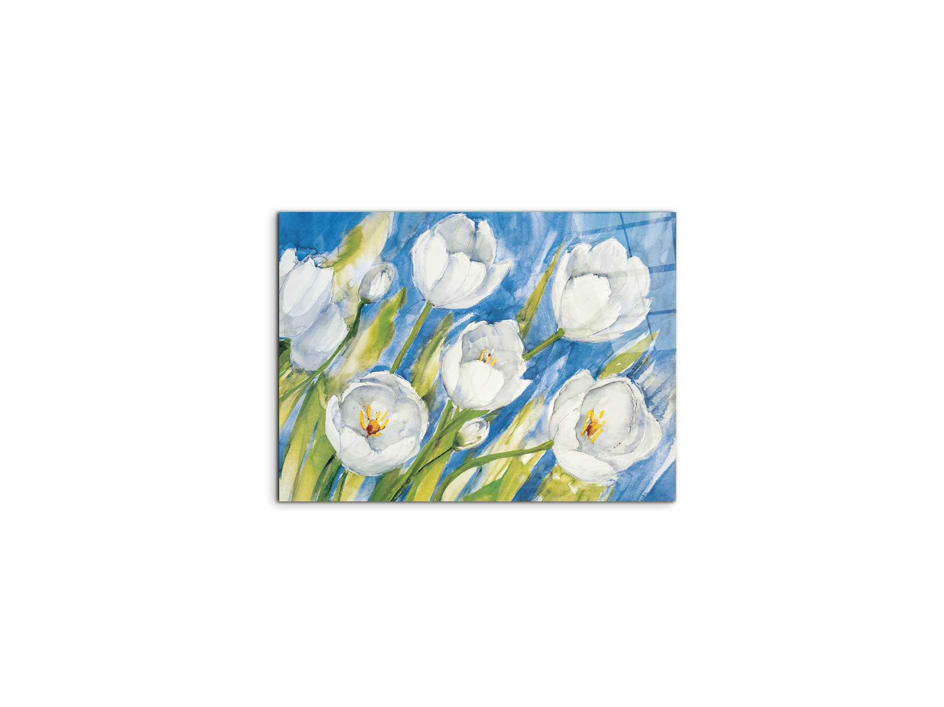 tulips-whiteec17819-#materiale_CrystalArt/dimensioni_50x37,42