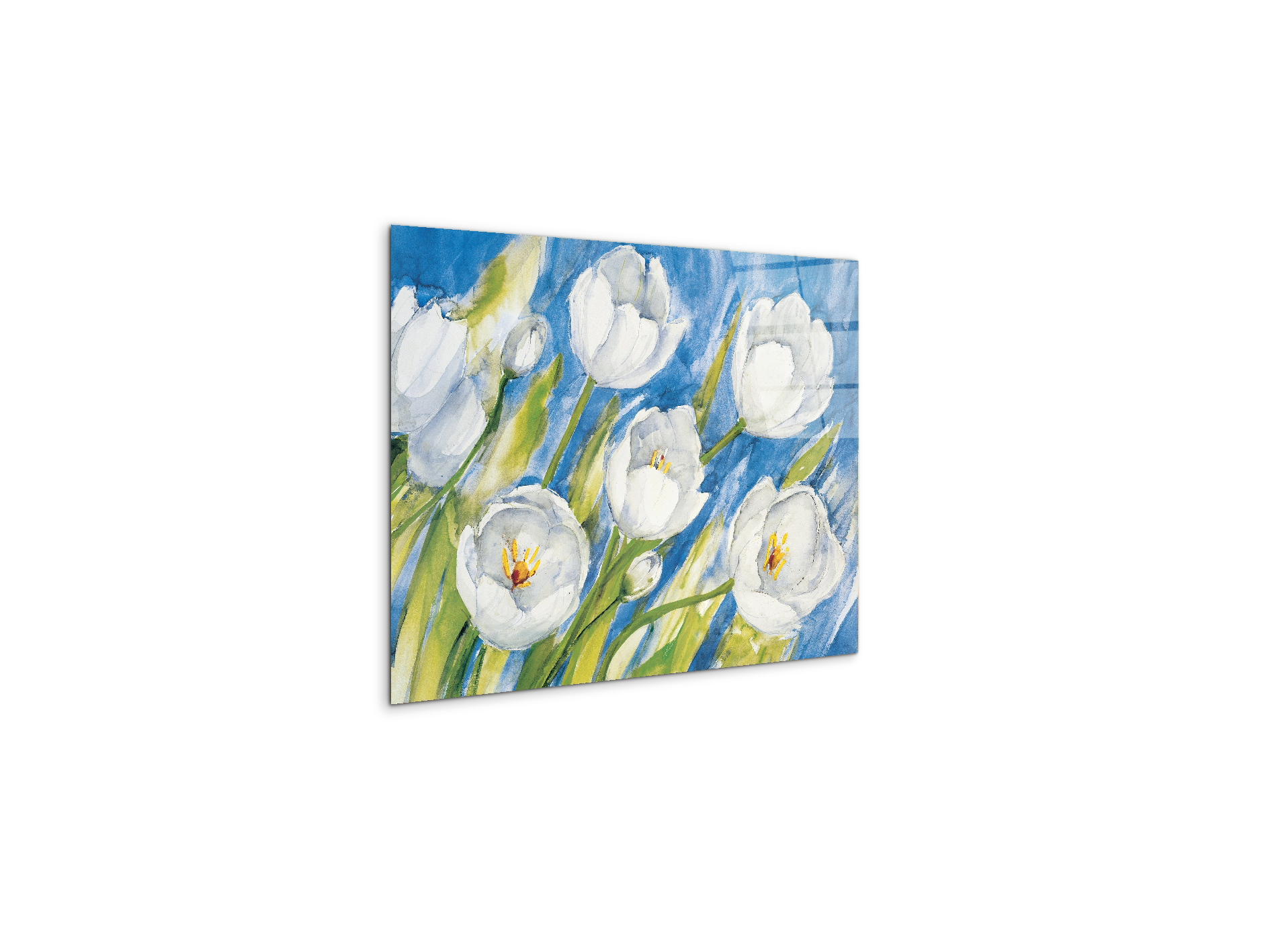 tulips-whiteec17819-