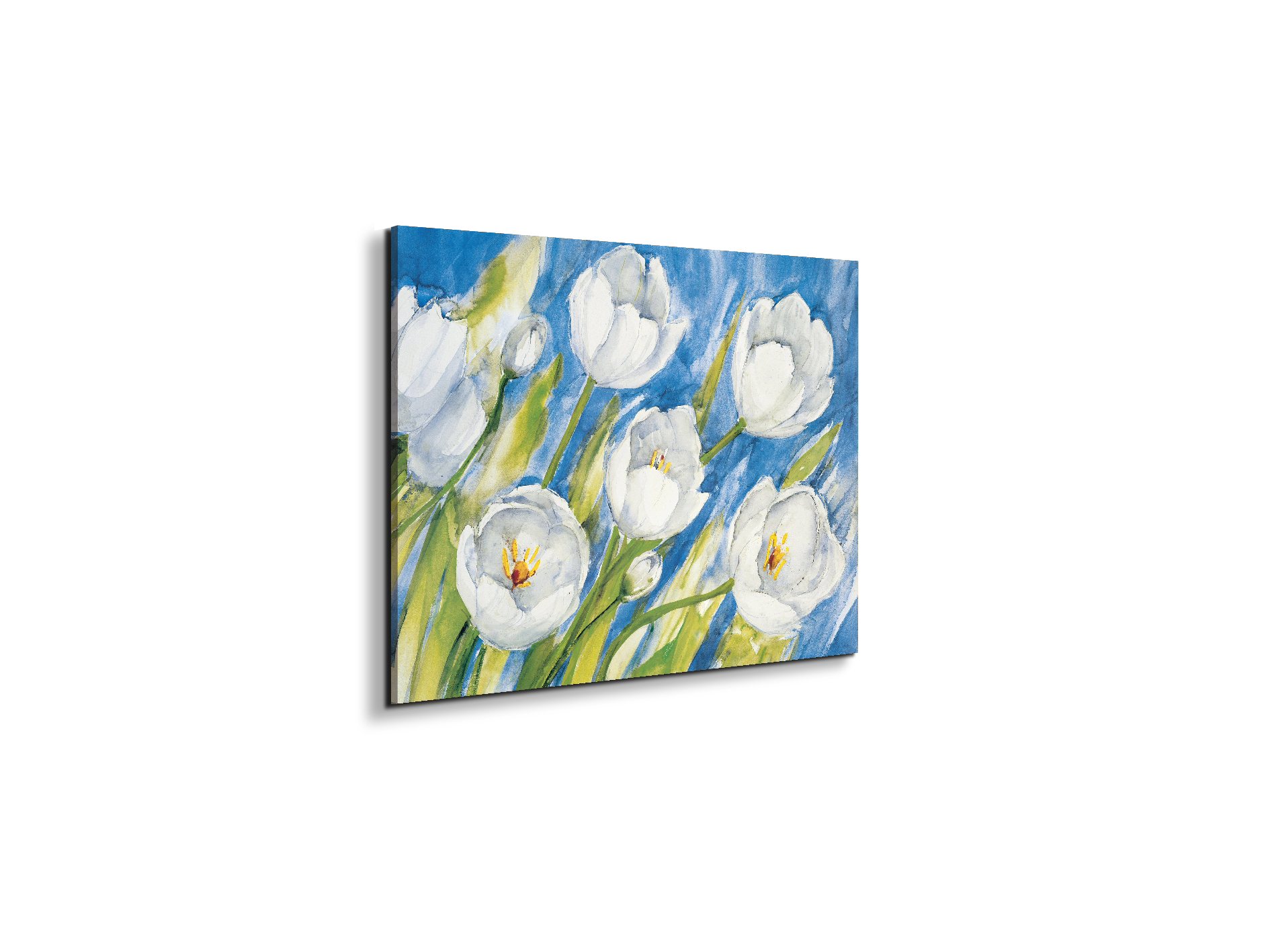 tulips-whiteec17819-