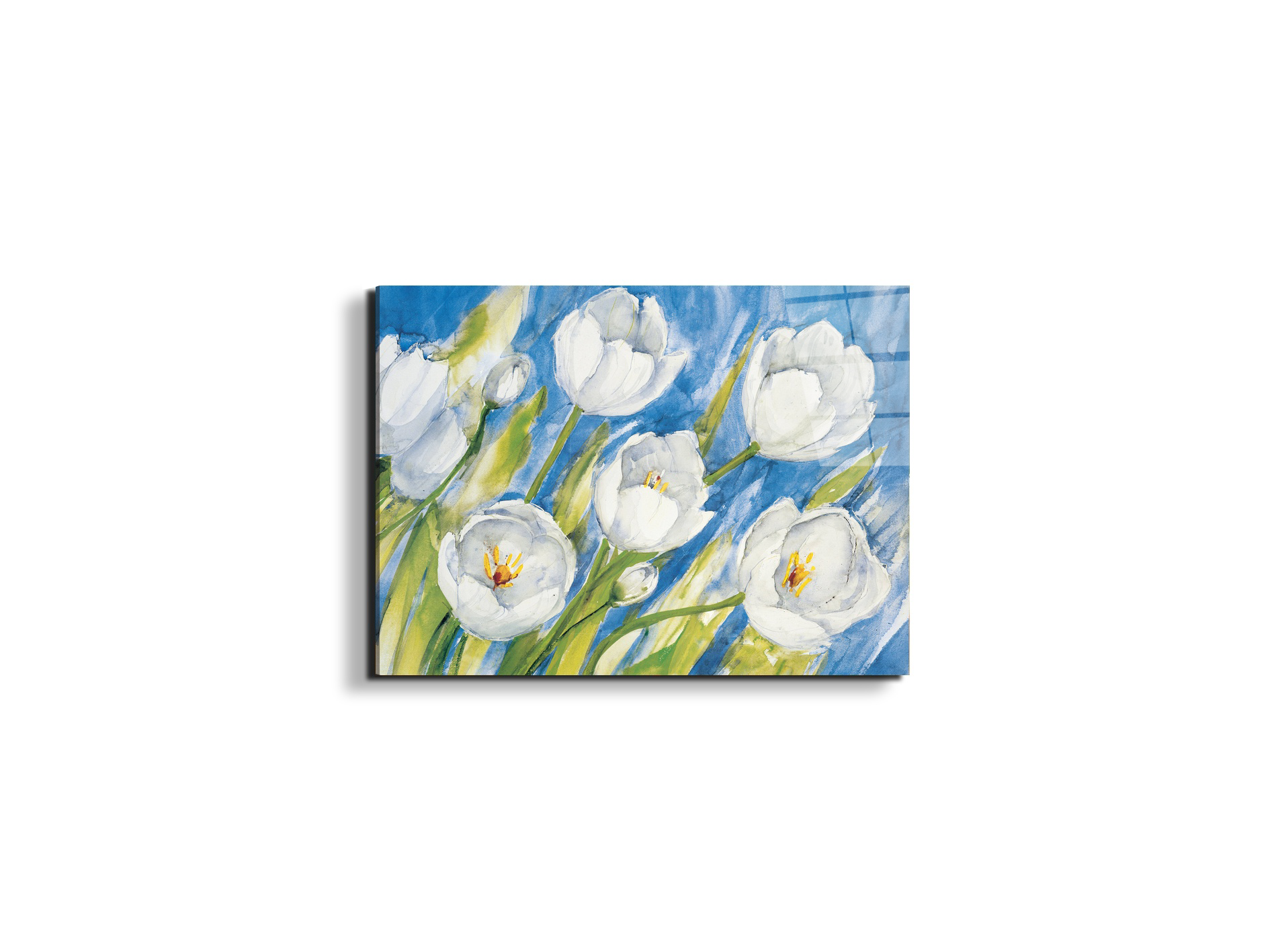 tulips-whiteec17819-