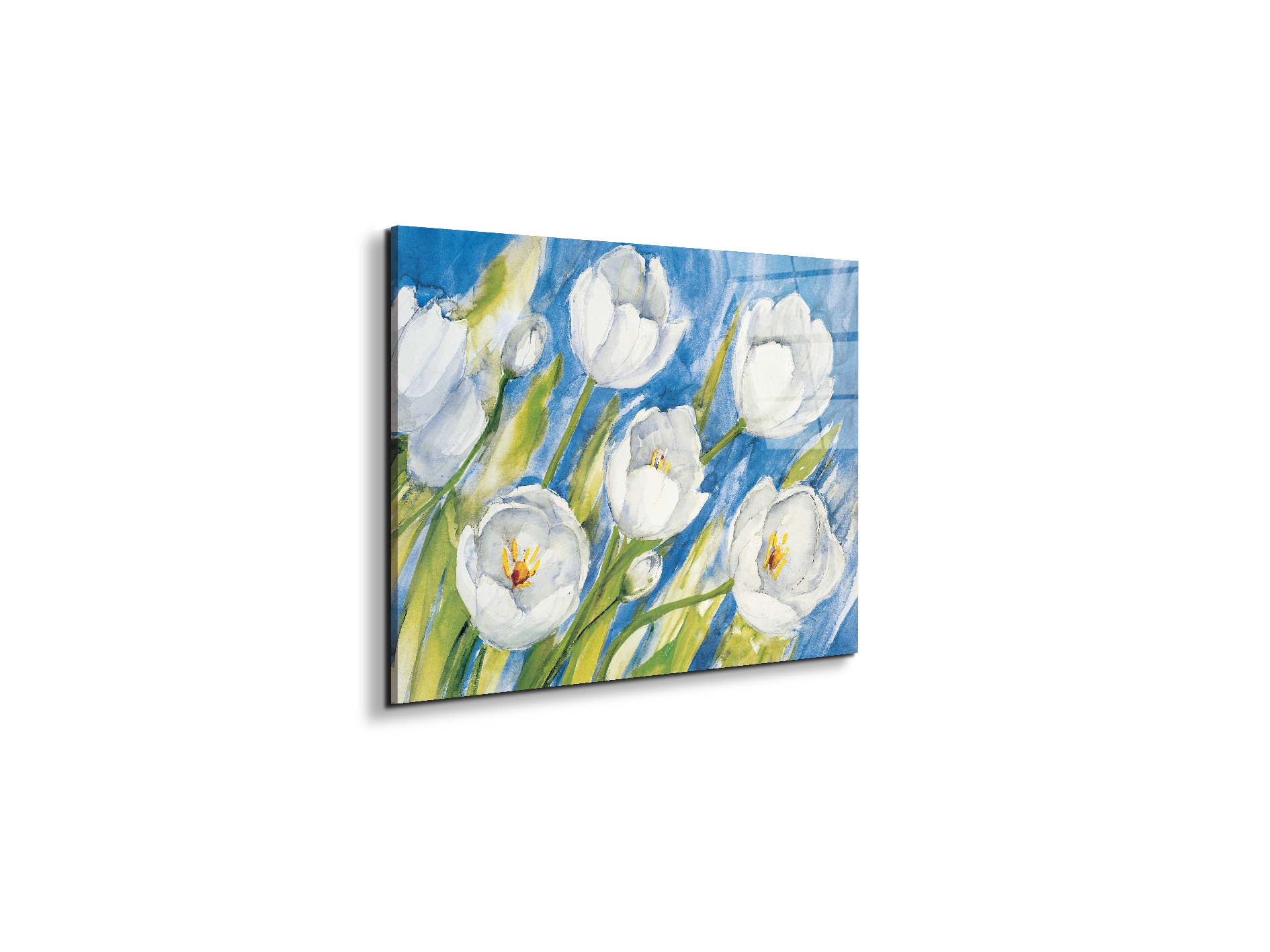 tulips-whiteec17819-