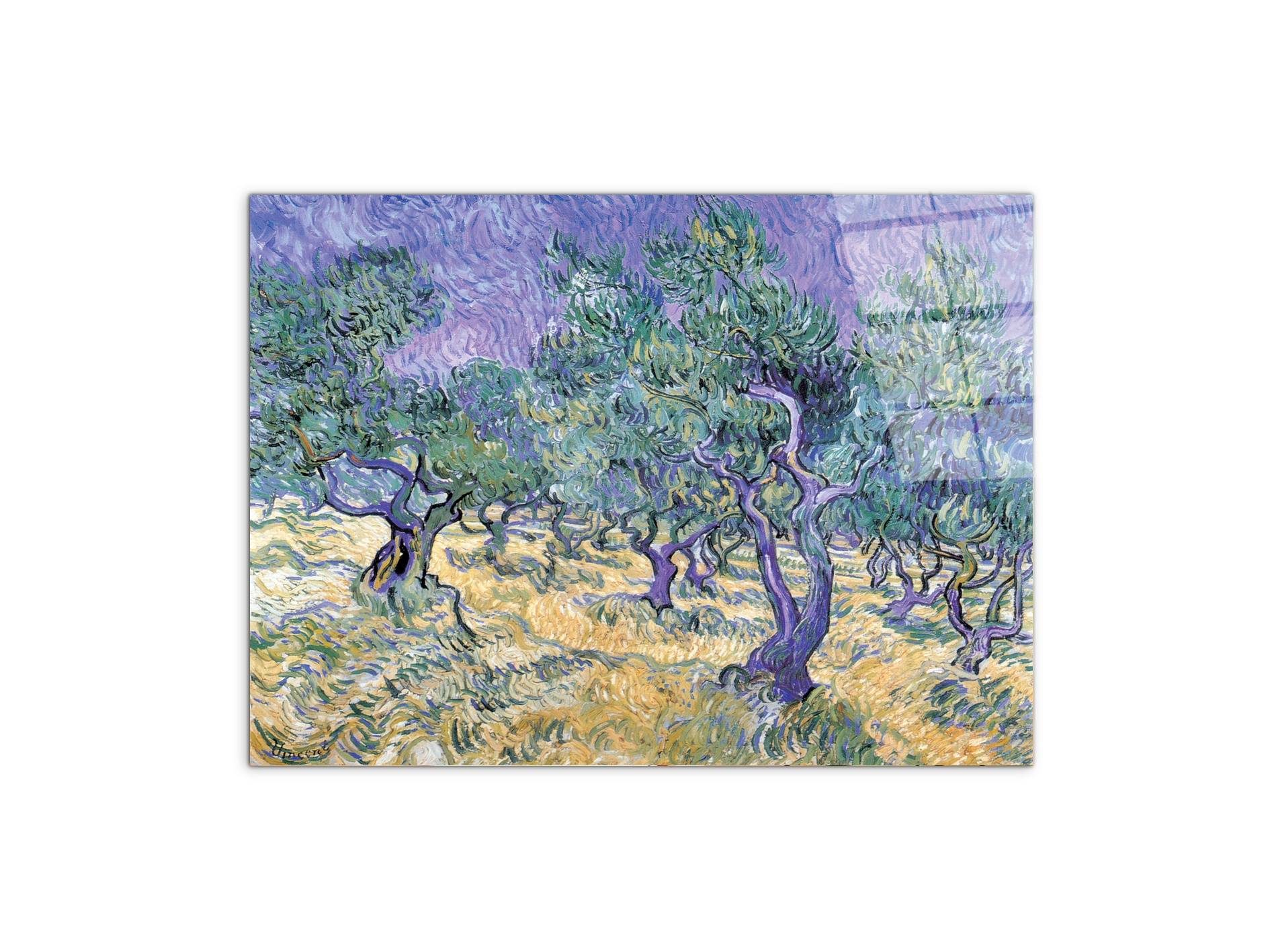 homage-to-van-gogh-olive-groveec17967-#materiale_CrystalArt/dimensioni_77,5x58