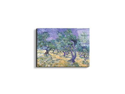 homage-to-van-gogh-olive-groveec17967-