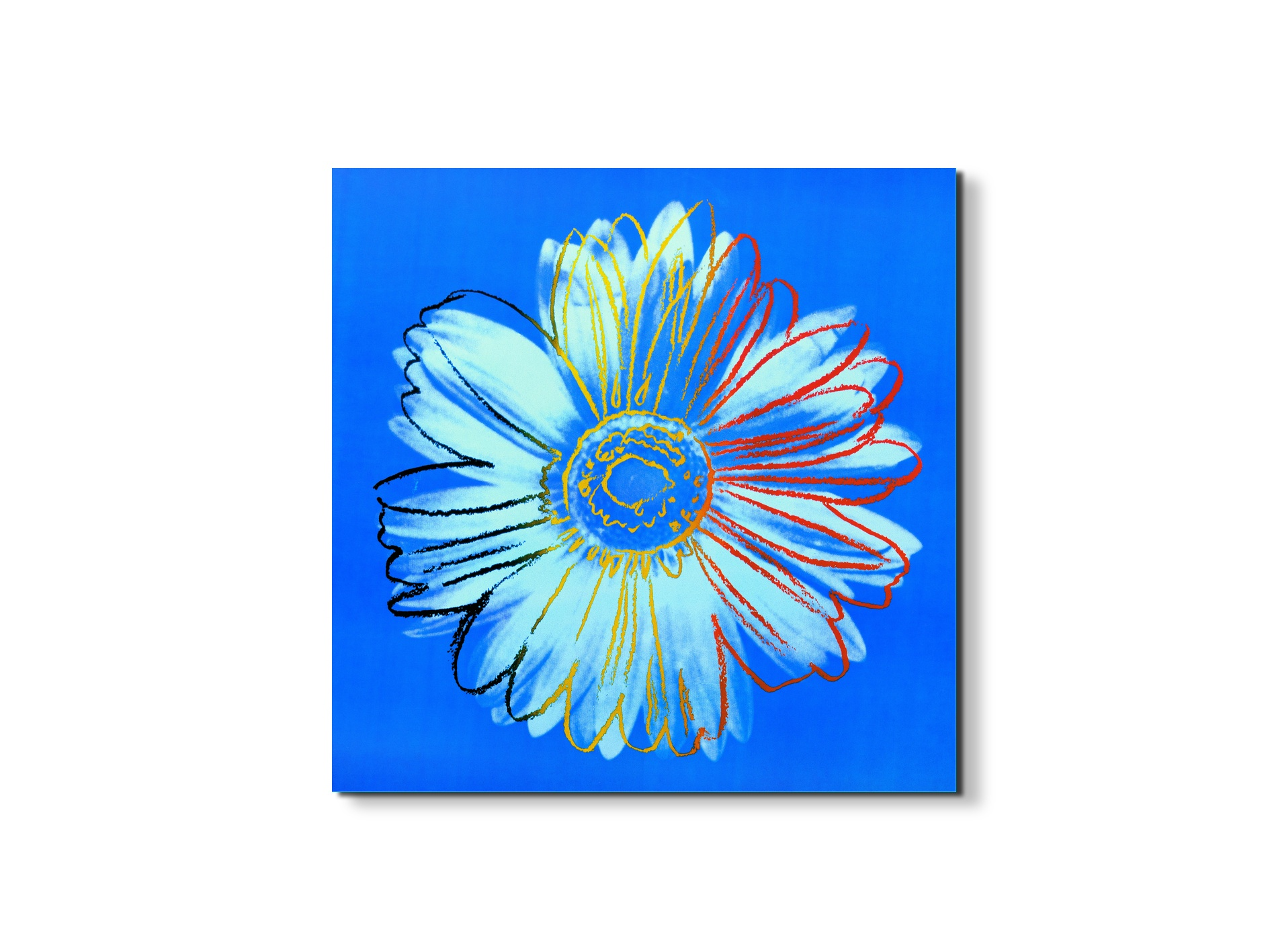 homage-to-andy-daisy-c-1982-iec18120-#materiale_EarthArt/dimensioni_58x58