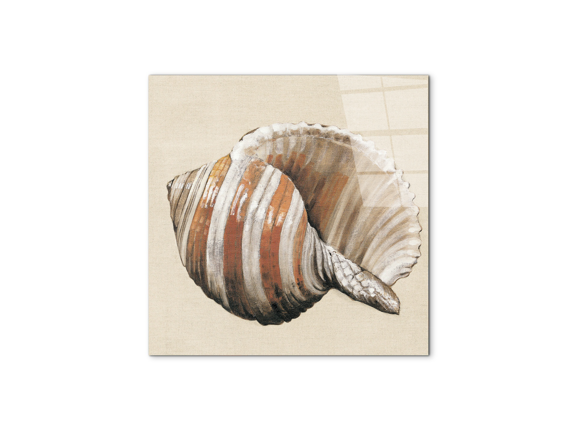 seashell-brownec18157-#materiale_CrystalArt/dimensioni_58x58