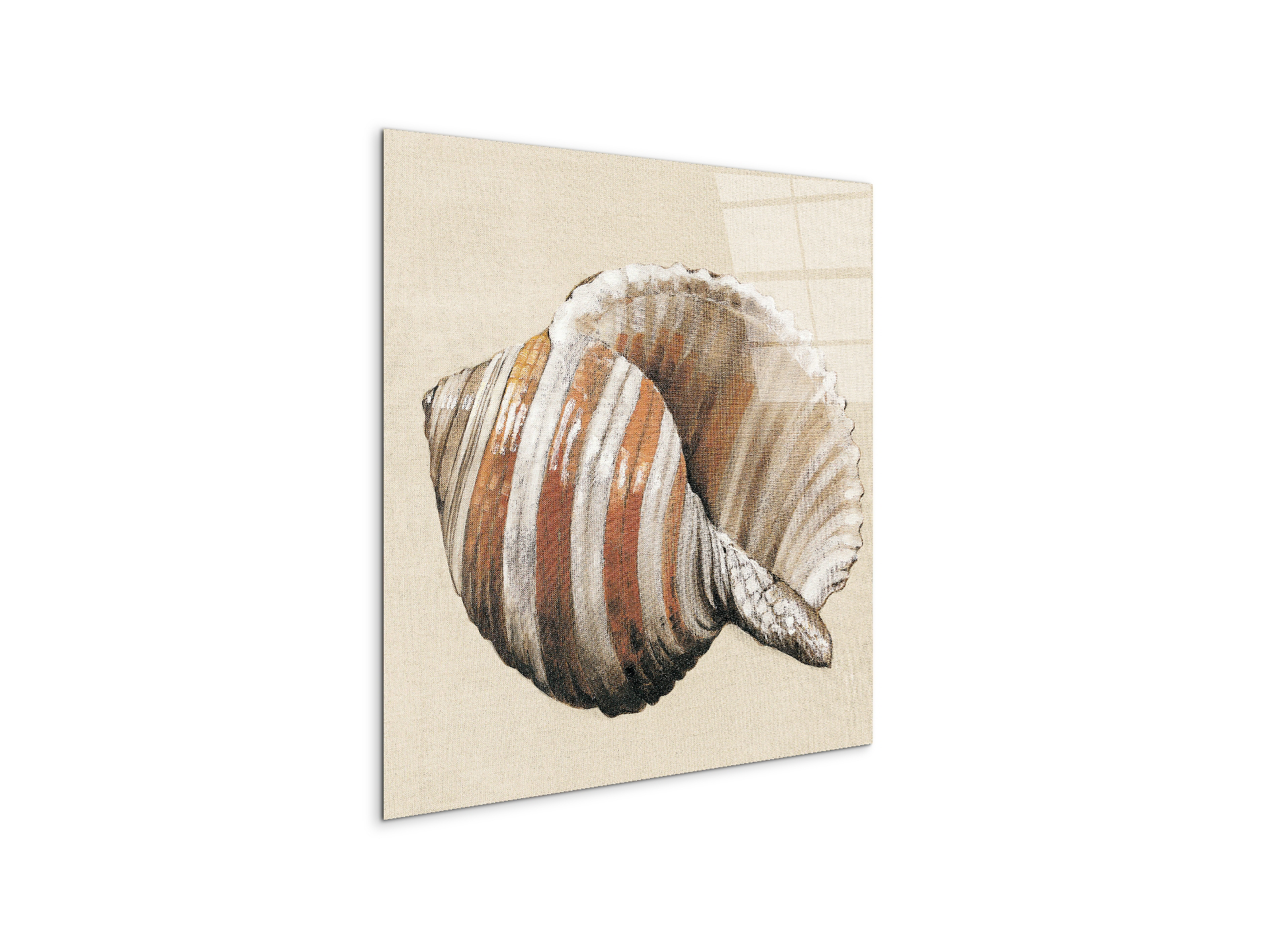 seashell-brownec18157-#materiale_CrystalArt/dimensioni_58x58