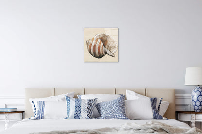 seashell-brownec18157-#materiale_CrystalArt/dimensioni_58x58