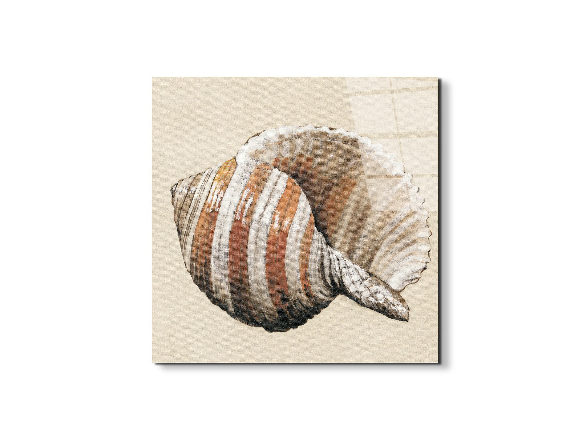 seashell-brownec18157-#materiale_EarthArt Total Gloss/dimensioni_58x58