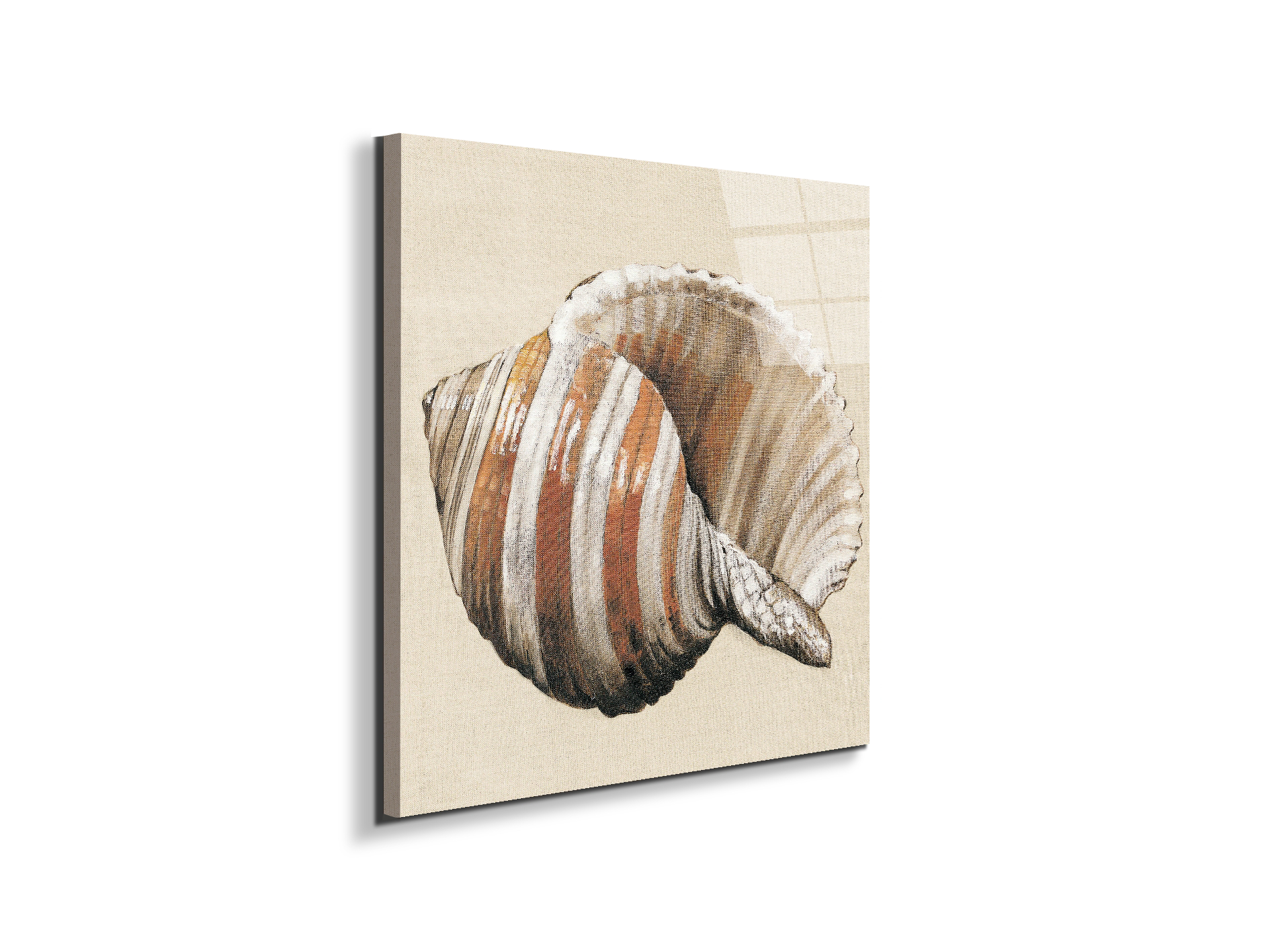 seashell-brownec18157-#materiale_EarthArt Total Gloss/dimensioni_58x58