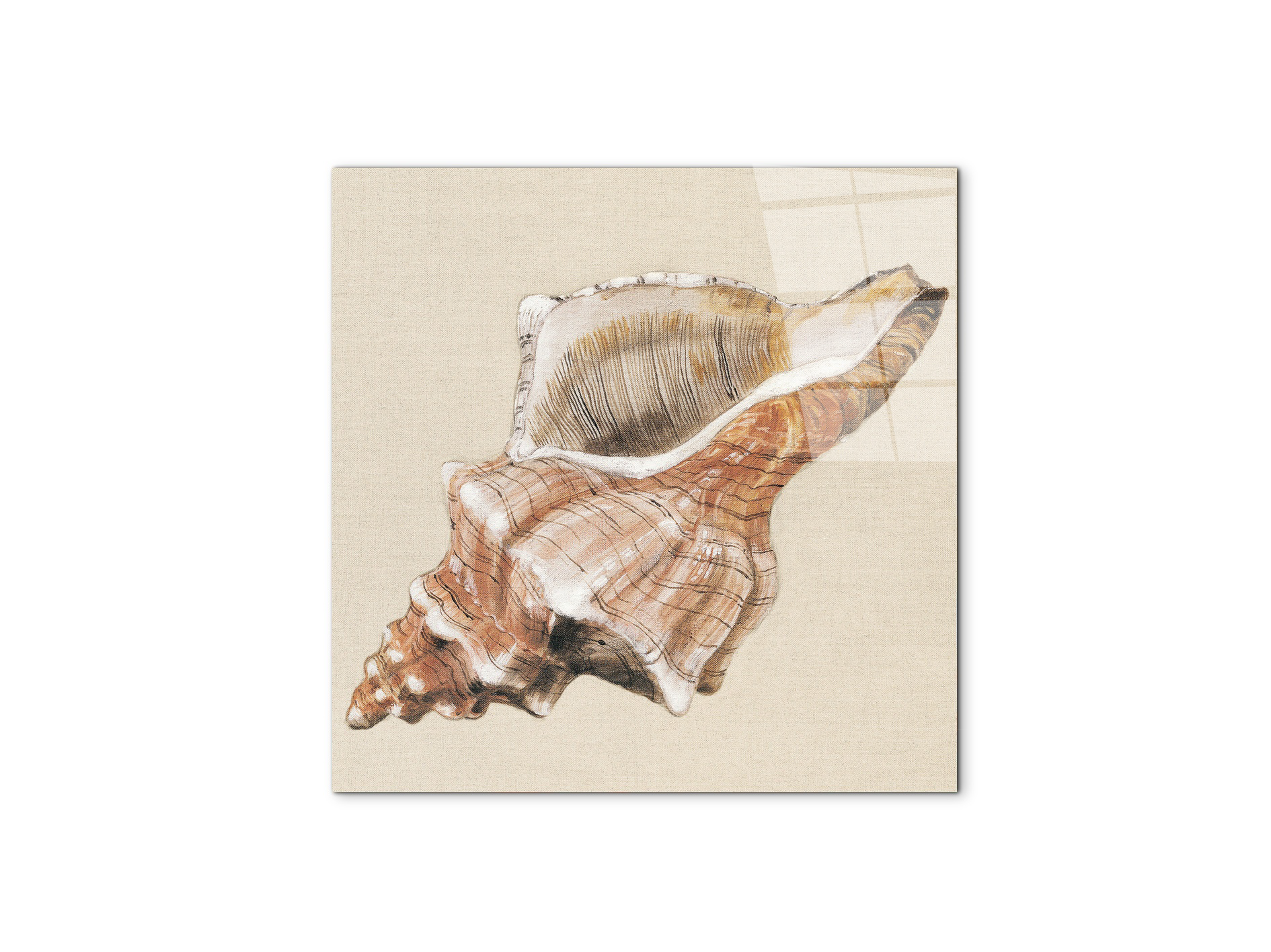 seashell-complexityec18159-#materiale_CrystalArt/dimensioni_58x58