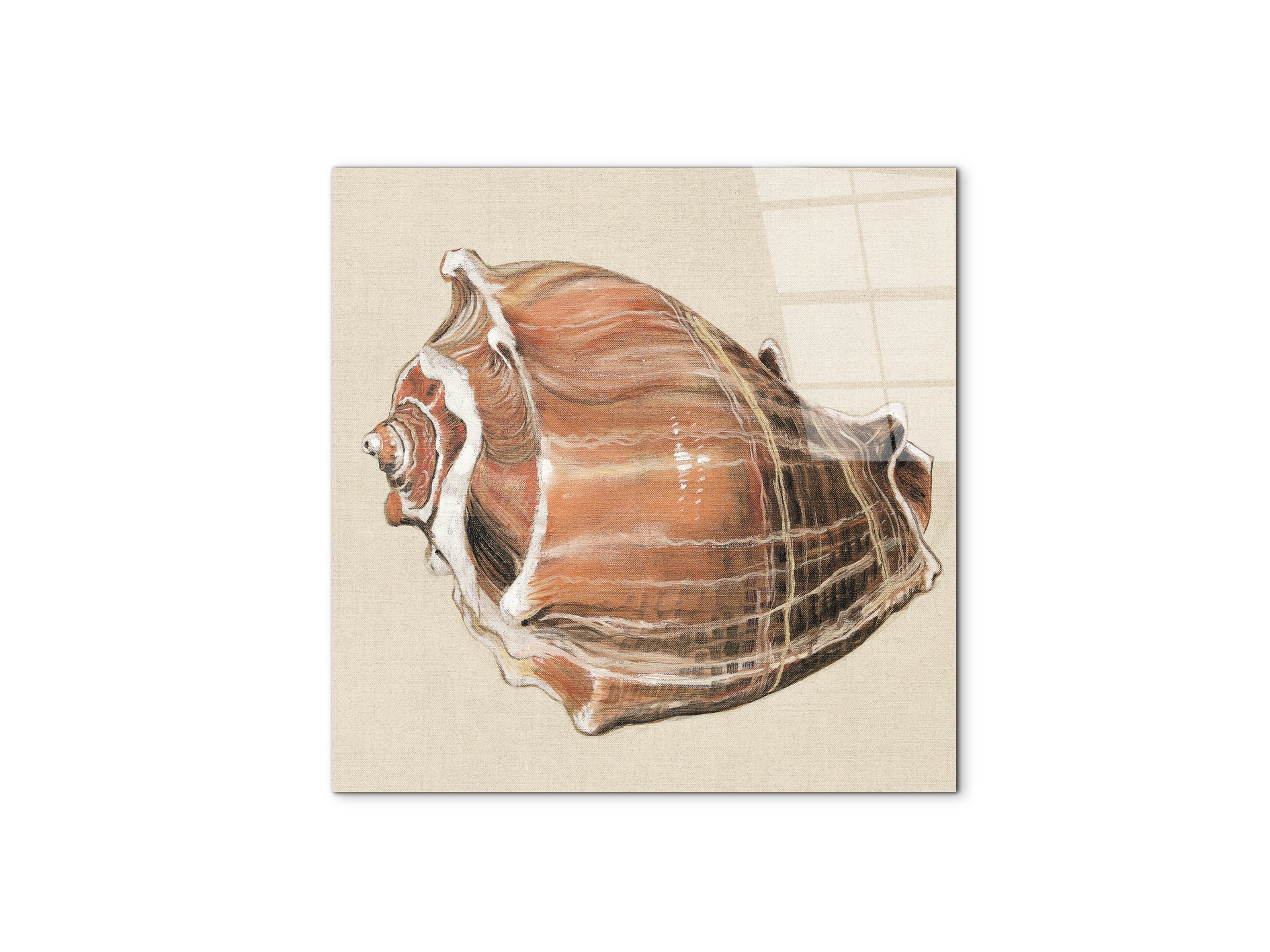 seashell-simplicityec18161-#materiale_CrystalArt/dimensioni_58x58