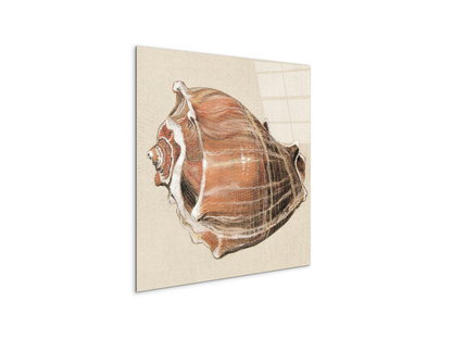 seashell-simplicityec18161-#materiale_CrystalArt/dimensioni_58x58
