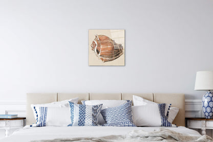 seashell-simplicityec18161-#materiale_CrystalArt/dimensioni_58x58