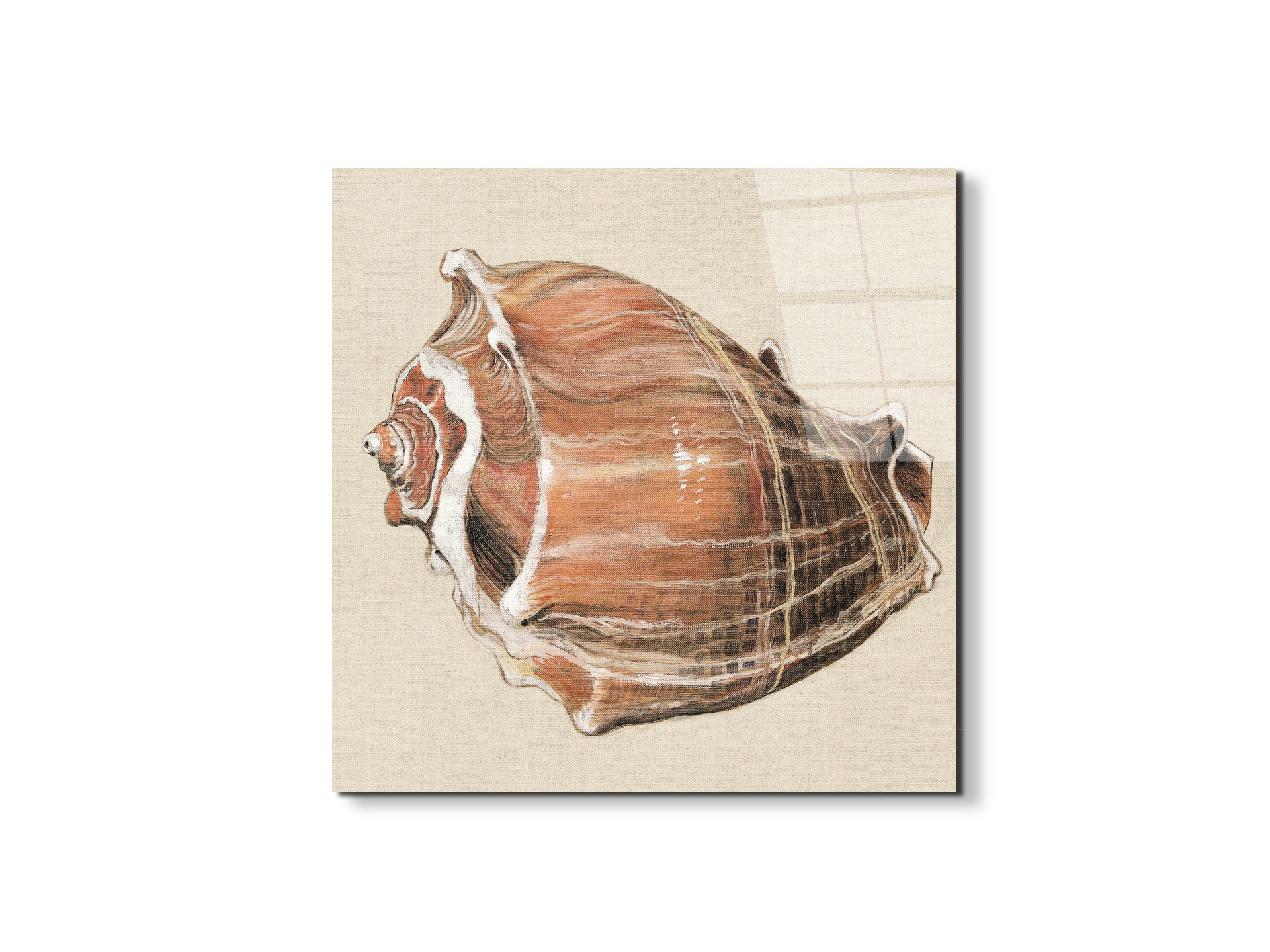 seashell-simplicityec18161-#materiale_EarthArt Total Gloss/dimensioni_58x58