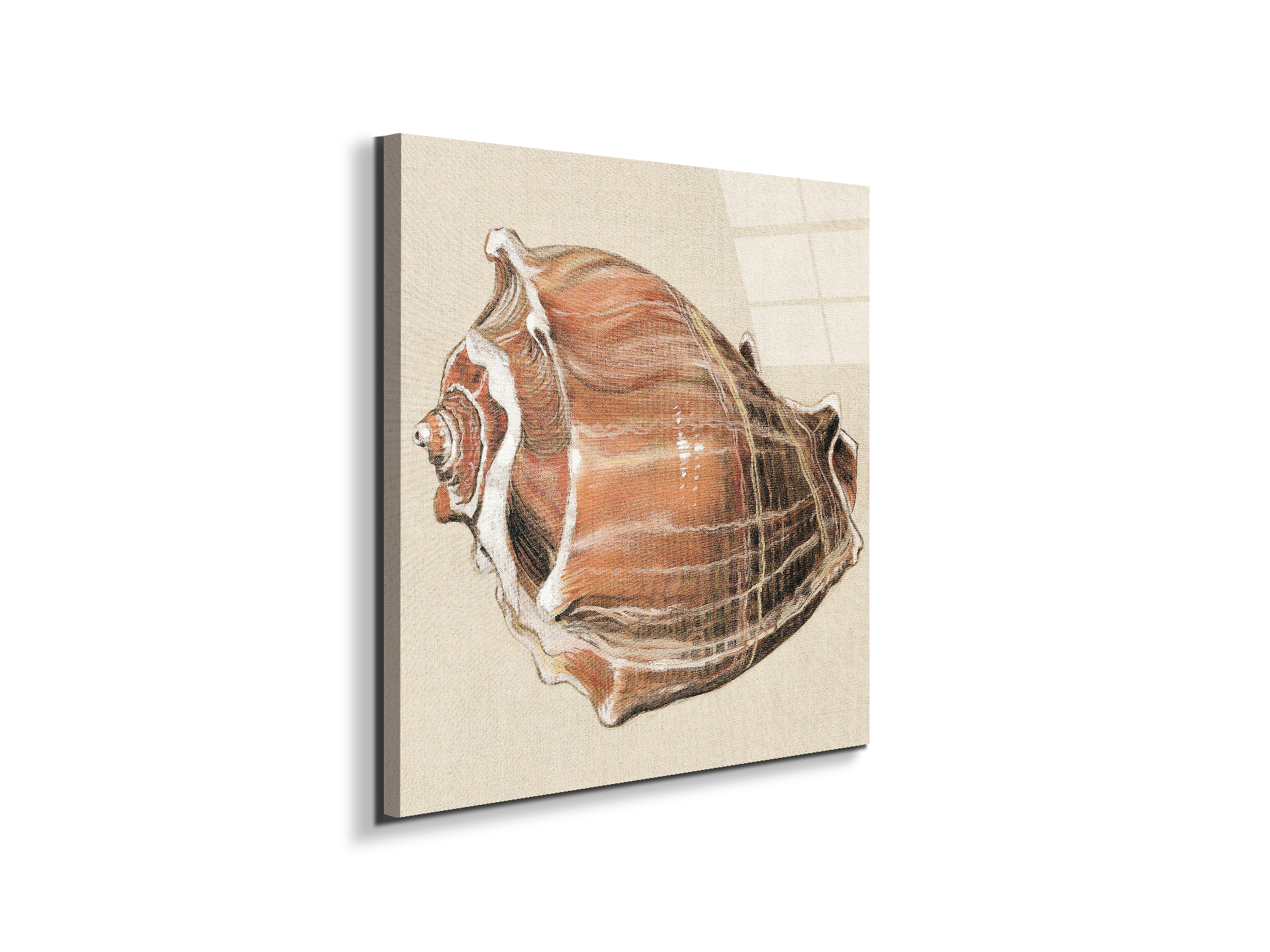 seashell-simplicityec18161-#materiale_EarthArt Total Gloss/dimensioni_58x58