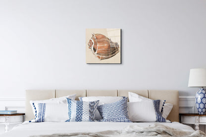 seashell-simplicityec18161-#materiale_EarthArt Total Gloss/dimensioni_58x58