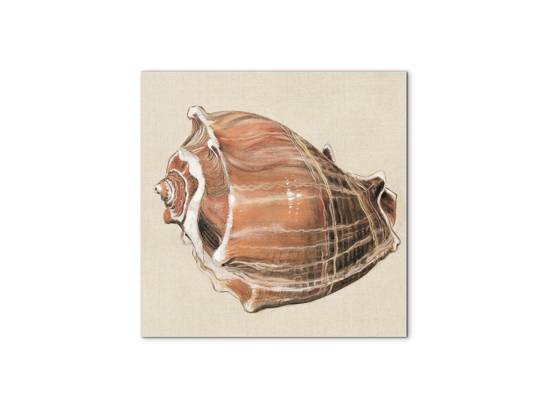 seashell-simplicityec18161-#materiale_MetalArt Materic/dimensioni_58x58