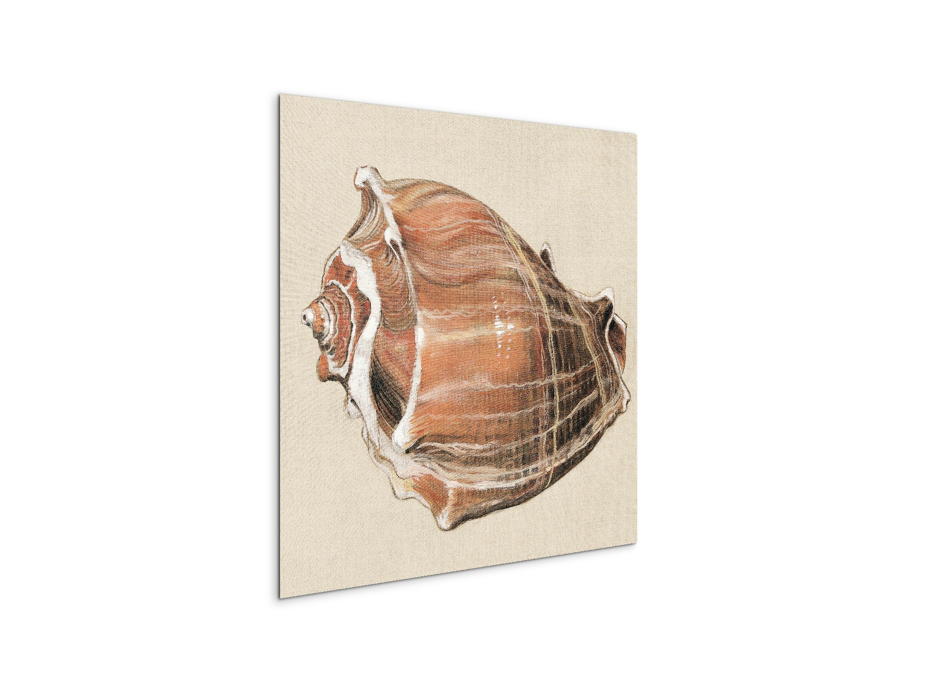 seashell-simplicityec18161-#materiale_MetalArt Materic/dimensioni_58x58