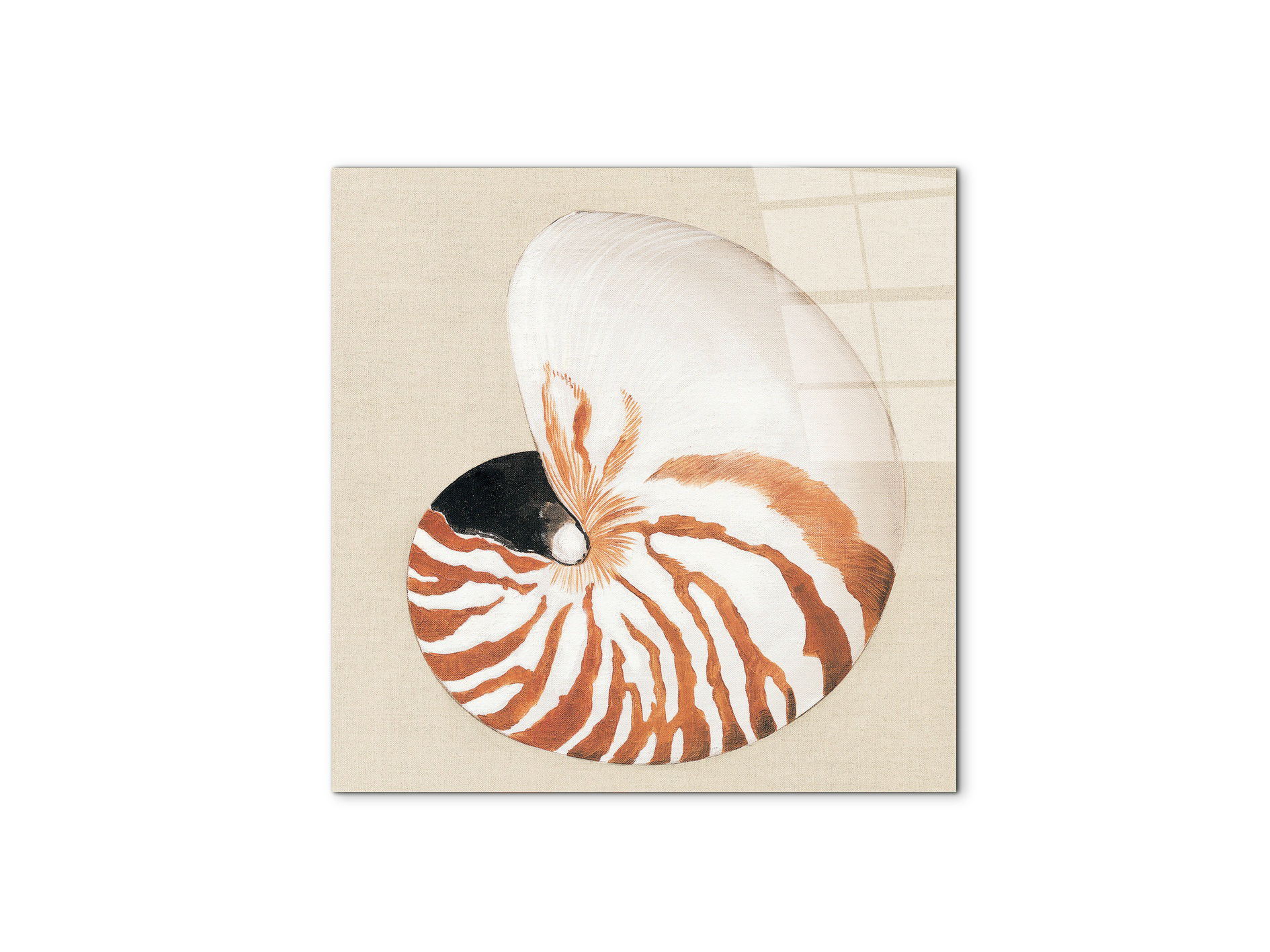 seashell-geometryec18163-#materiale_CrystalArt/dimensioni_58x58