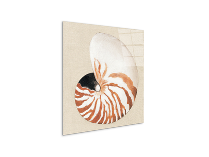 seashell-geometryec18163-#materiale_CrystalArt/dimensioni_58x58