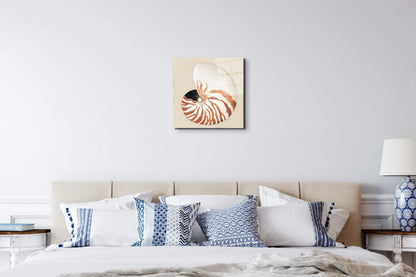 seashell-geometryec18163-#materiale_EarthArt Total Gloss/dimensioni_58x58