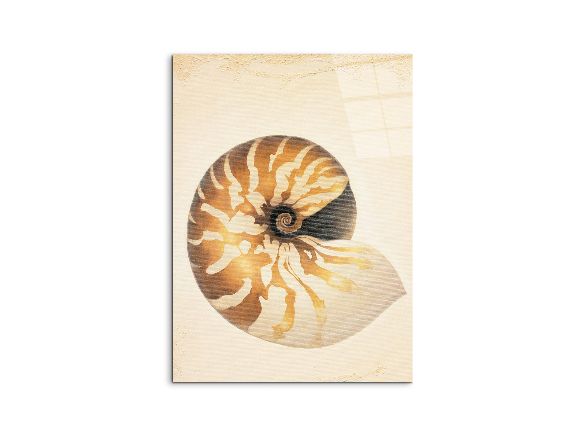 seashell-patternec18208-#materiale_CrystalArt/dimensioni_58x77,5