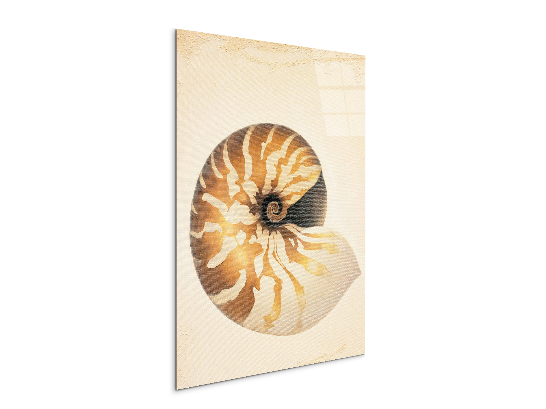 seashell-patternec18208-