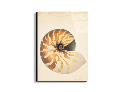 seashell-patternec18208-