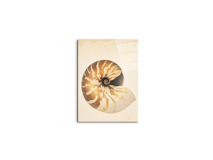 seashell-patternec18208-