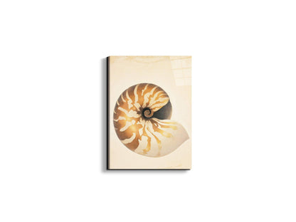 seashell-patternec18208-