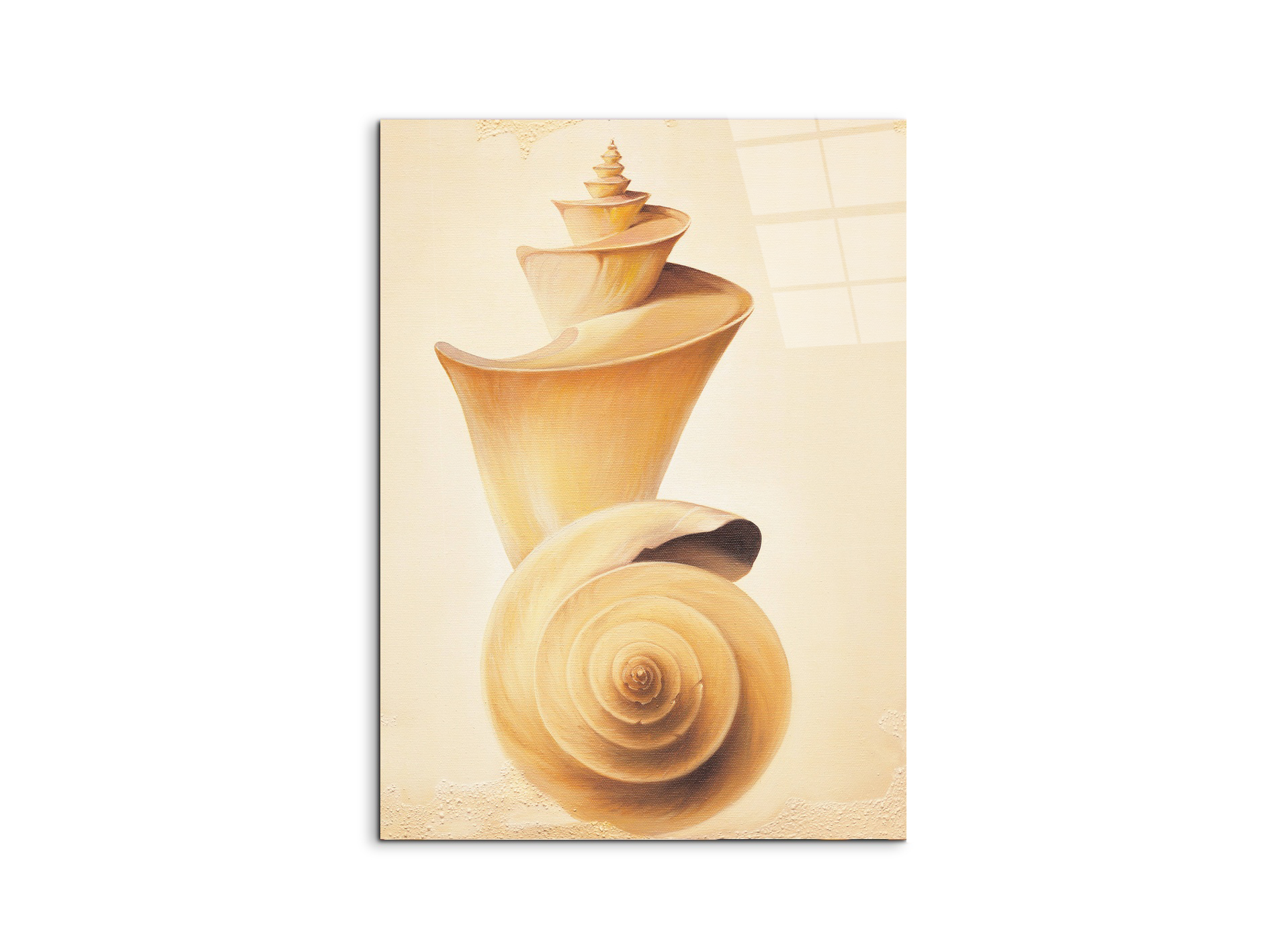 seashell-towerec18209-#materiale_CrystalArt/dimensioni_58x77,5