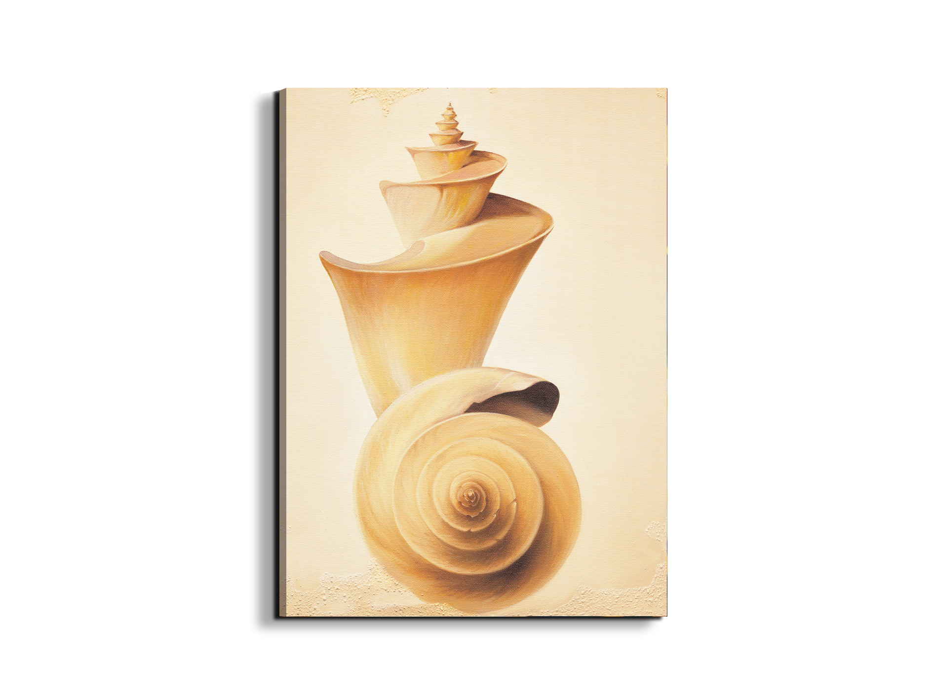 seashell-towerec18209-#materiale_EarthArt/dimensioni_58x77,5