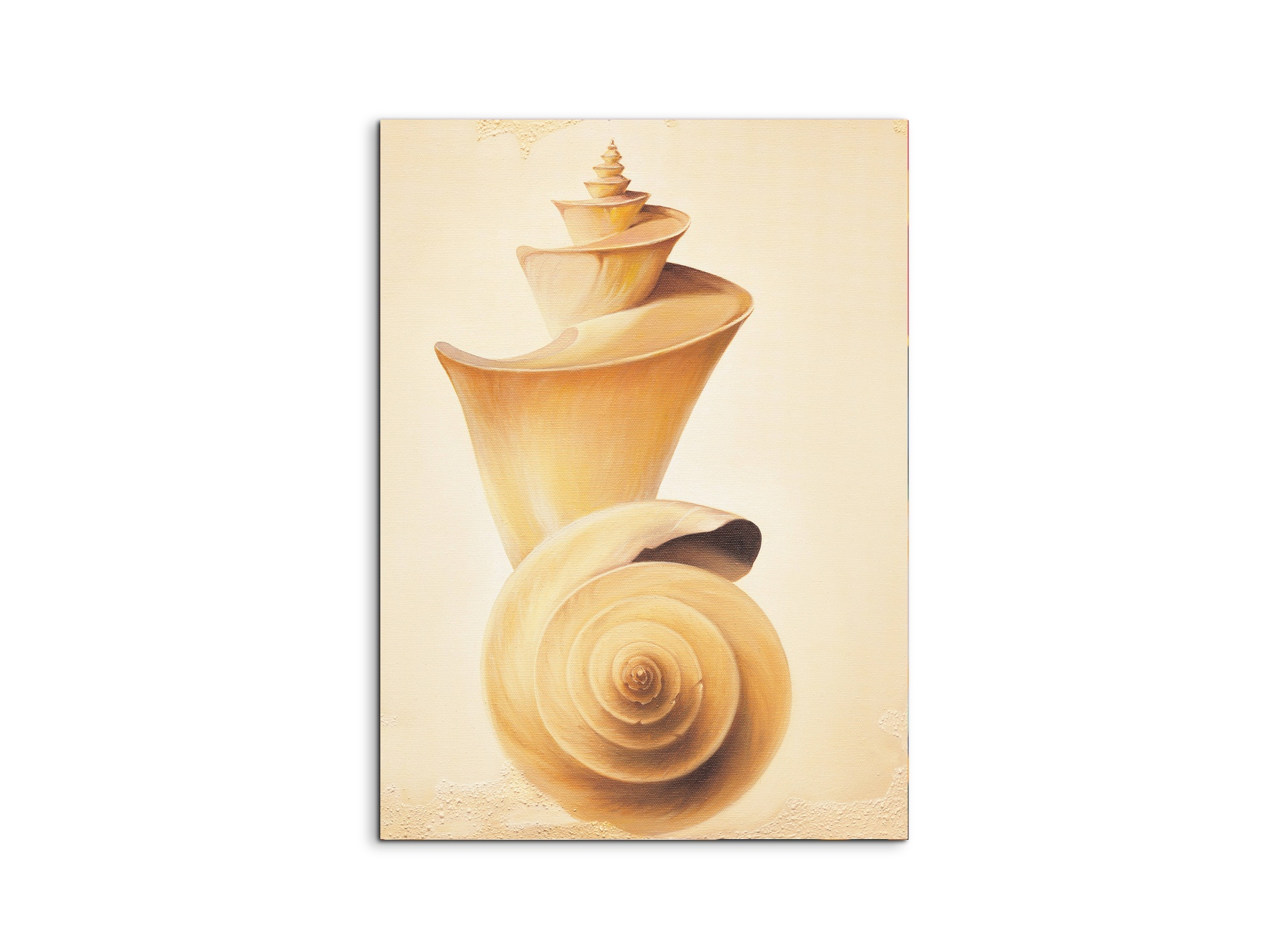 seashell-towerec18209-