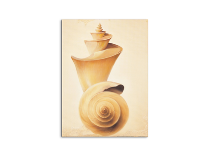 seashell-towerec18209-