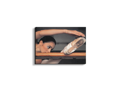 dancer-focusec18447-