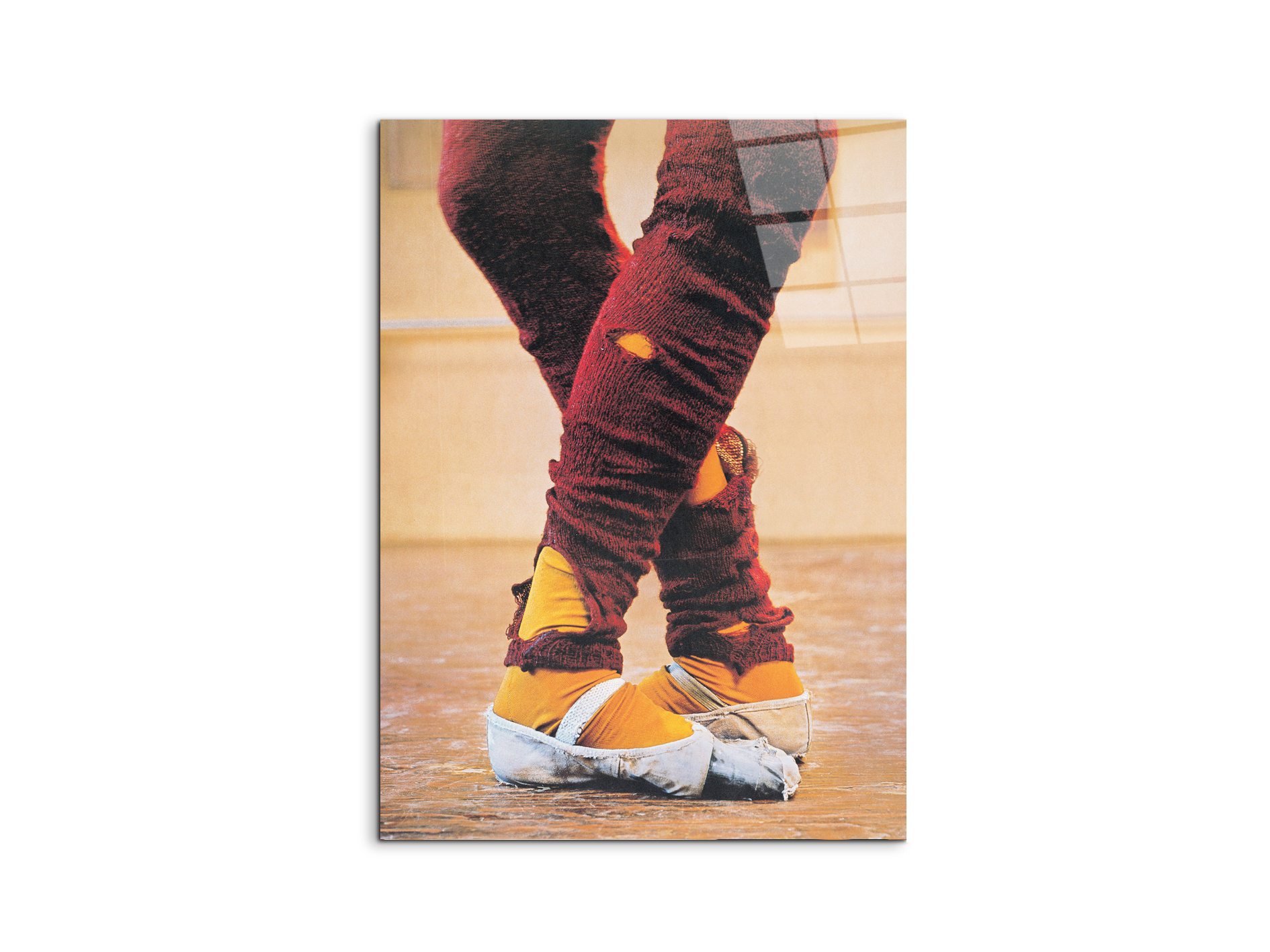 dancer-step-by-stepec18449-#materiale_CrystalArt/dimensioni_58x77,5