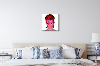 homage-to-david-bowieec18533-