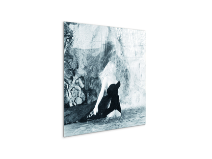 homage-to-anita-in-the-waterec18598-