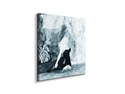homage-to-anita-in-the-waterec18598-