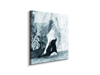 homage-to-anita-in-the-waterec18598-