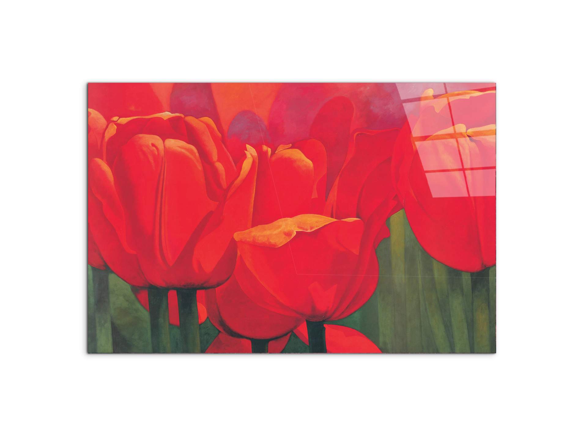 red-tulips-iec18694-#materiale_CrystalArt/dimensioni_79,5x53