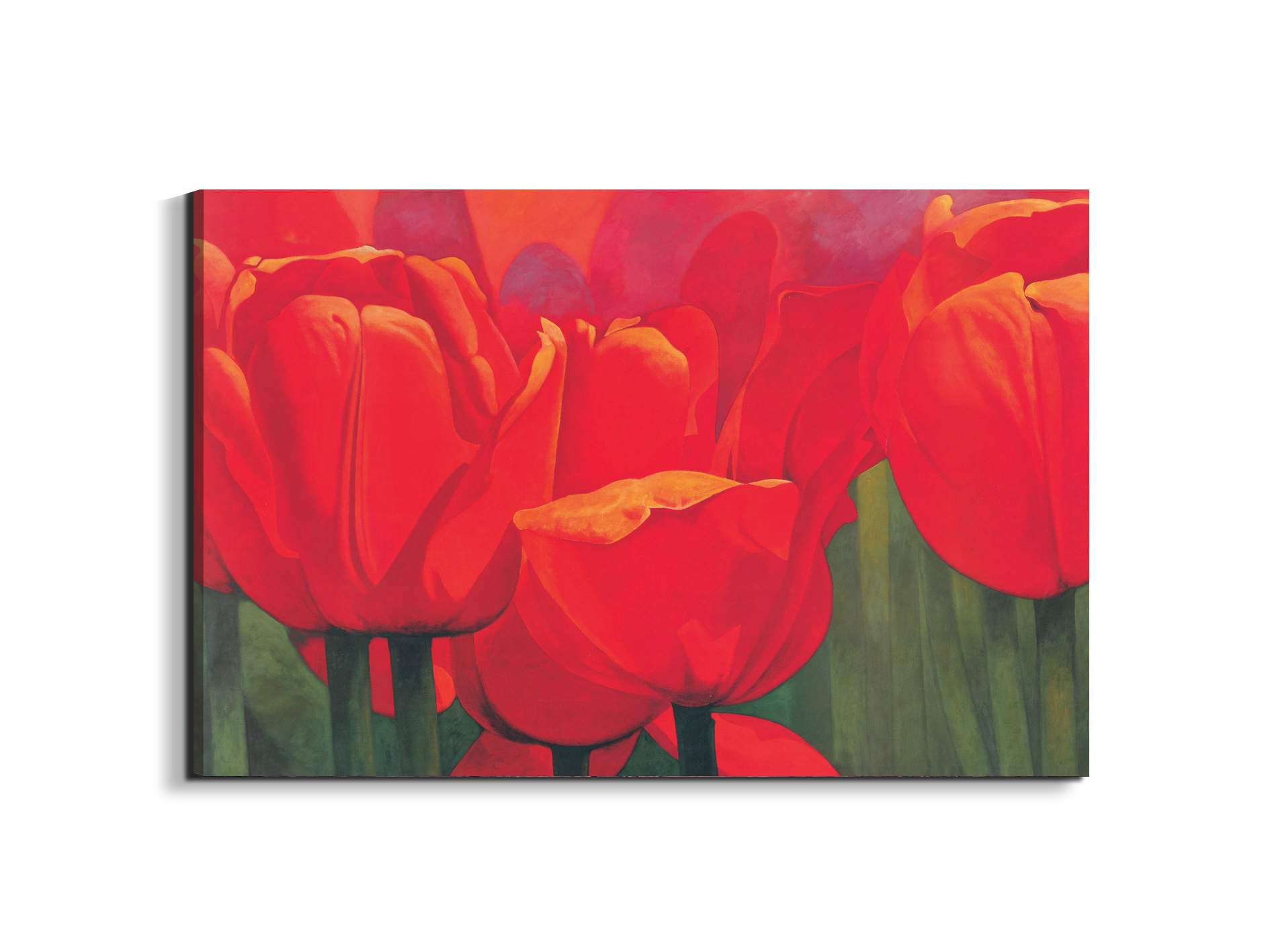 red-tulips-iec18694-#materiale_EarthArt/dimensioni_79,5x53
