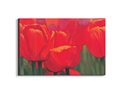 red-tulips-iec18694-