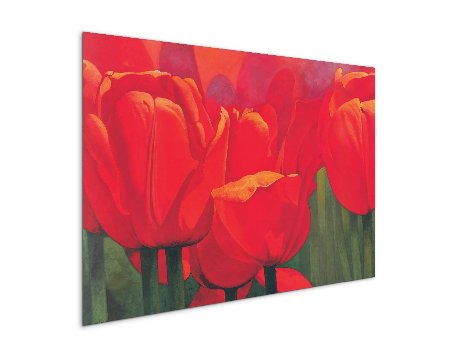 red-tulips-iec18694-