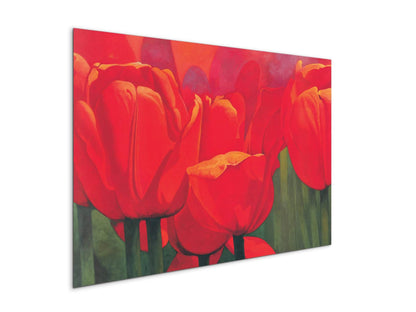 red-tulips-iec18694-
